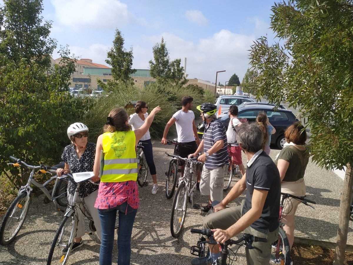 découvrir le marais à velo