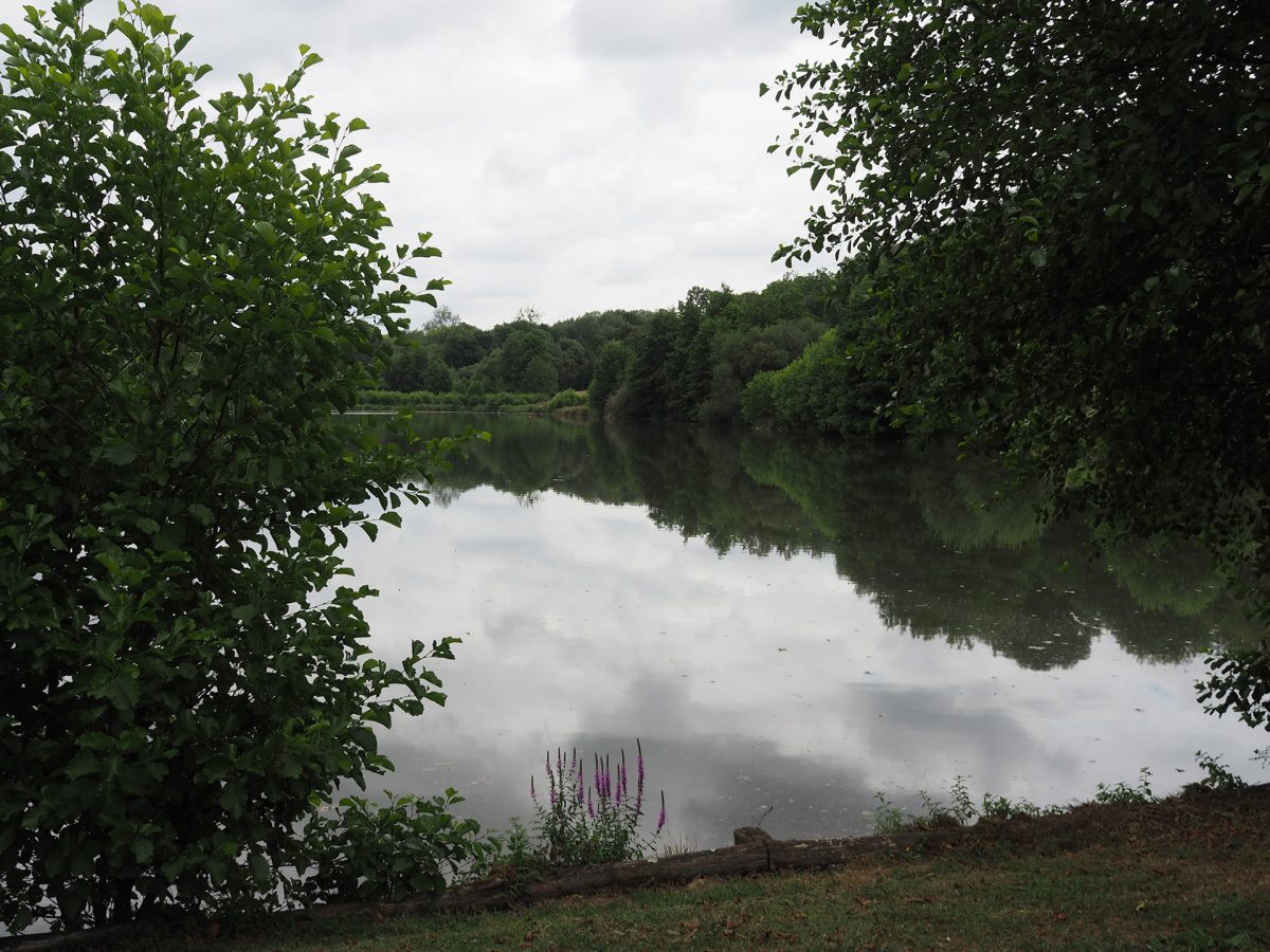 Saint-Martin-Lars-en-Sainte-Hermine Etang Saint-Martin