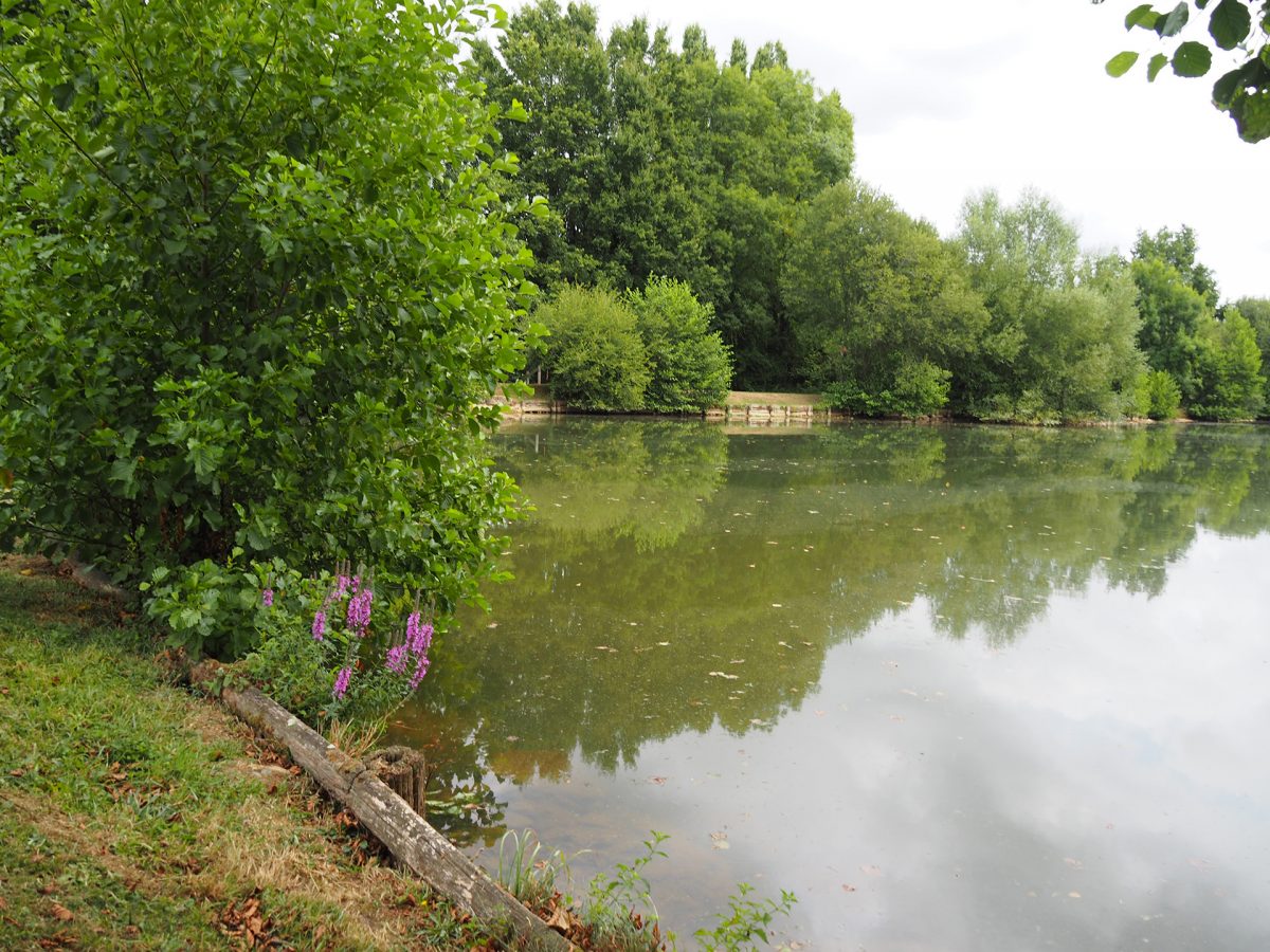 Saint-Martin-Lars-en-Sainte-Hermine Etang Saint-Martin Espace naturel sensible