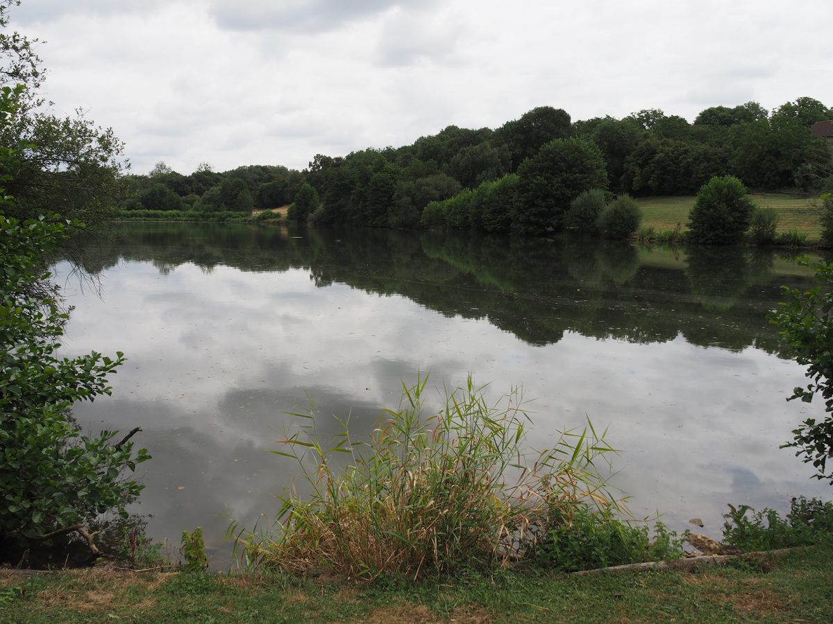 Saint-Martin-Lars-en-Sainte-Hermine Etang Saint-Martin Espace naturel sensible