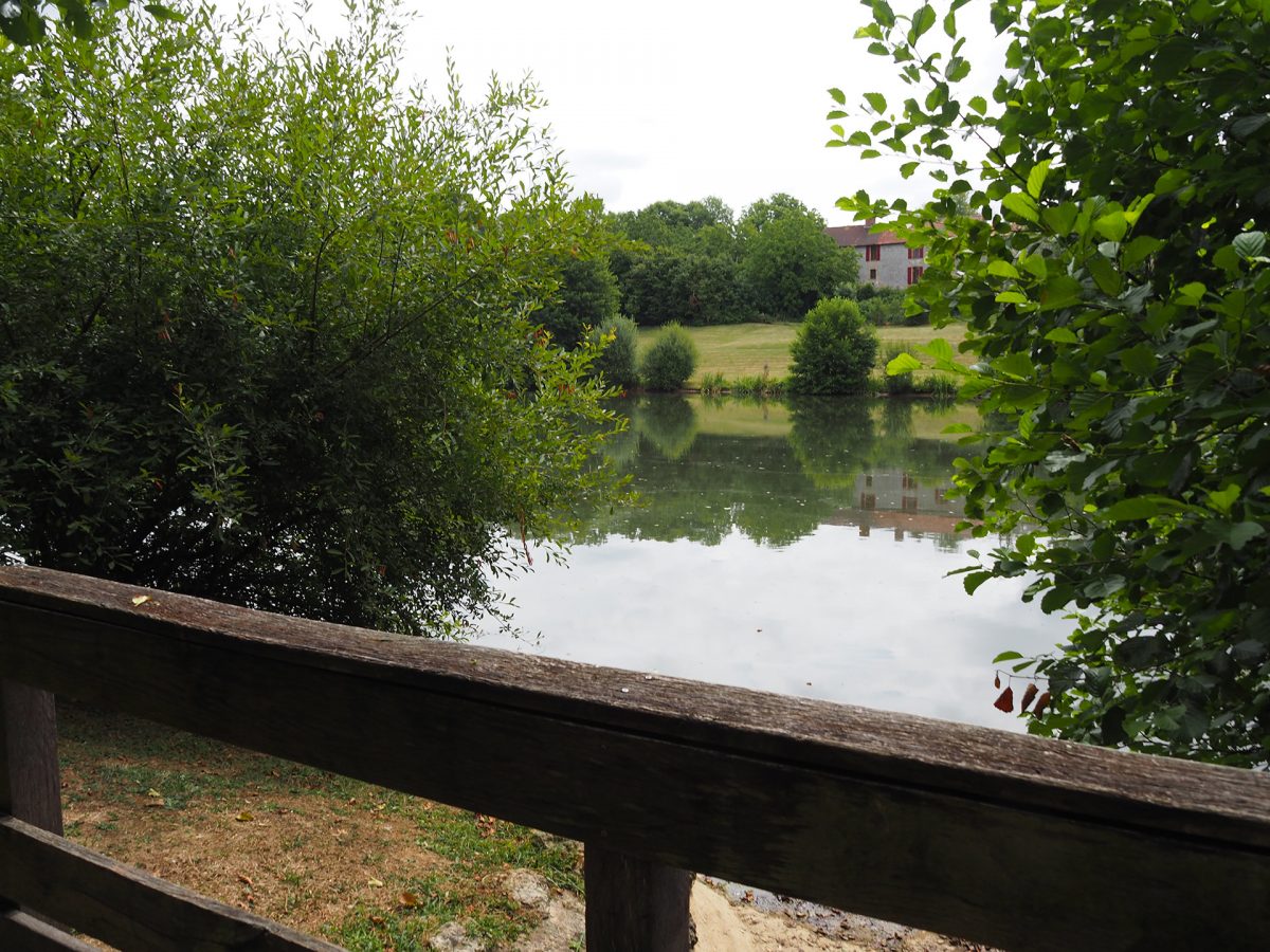 Saint-Martin-Lars-en-Sainte-Hermine Etang Saint-Martin Espace naturel sensible