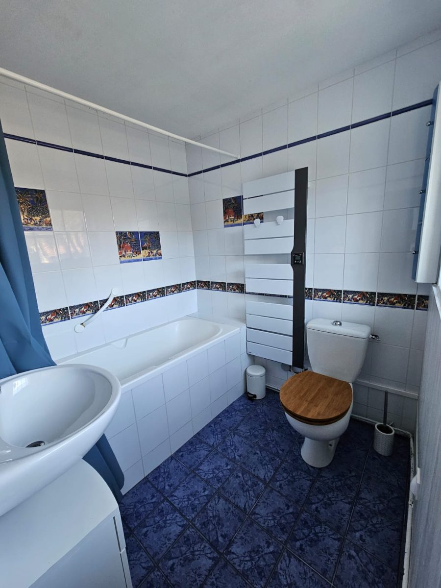 Meublé O’Joli Albizia-Péault_Salle de bain_RDC