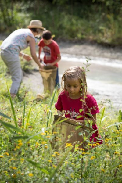 Sortie nature, Petites bêtes des hautes herbes