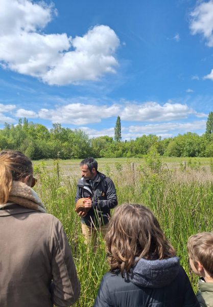 Sortie nature, vannerie sauvage