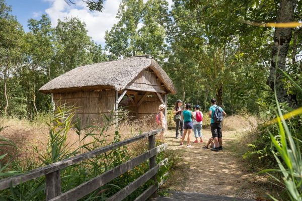 Journée du patrimoine : Mission gestion écologique d’un espace naturel sensible !