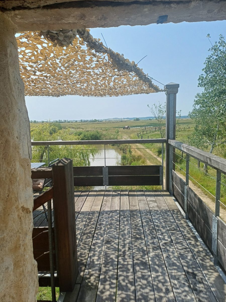 Chambres d’hôtes Dixmérie_Triaize_Terrasse