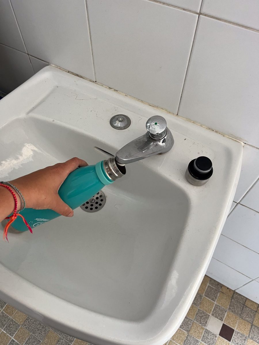 Toilettes publiques -Belugas – La Faute-sur-Mer