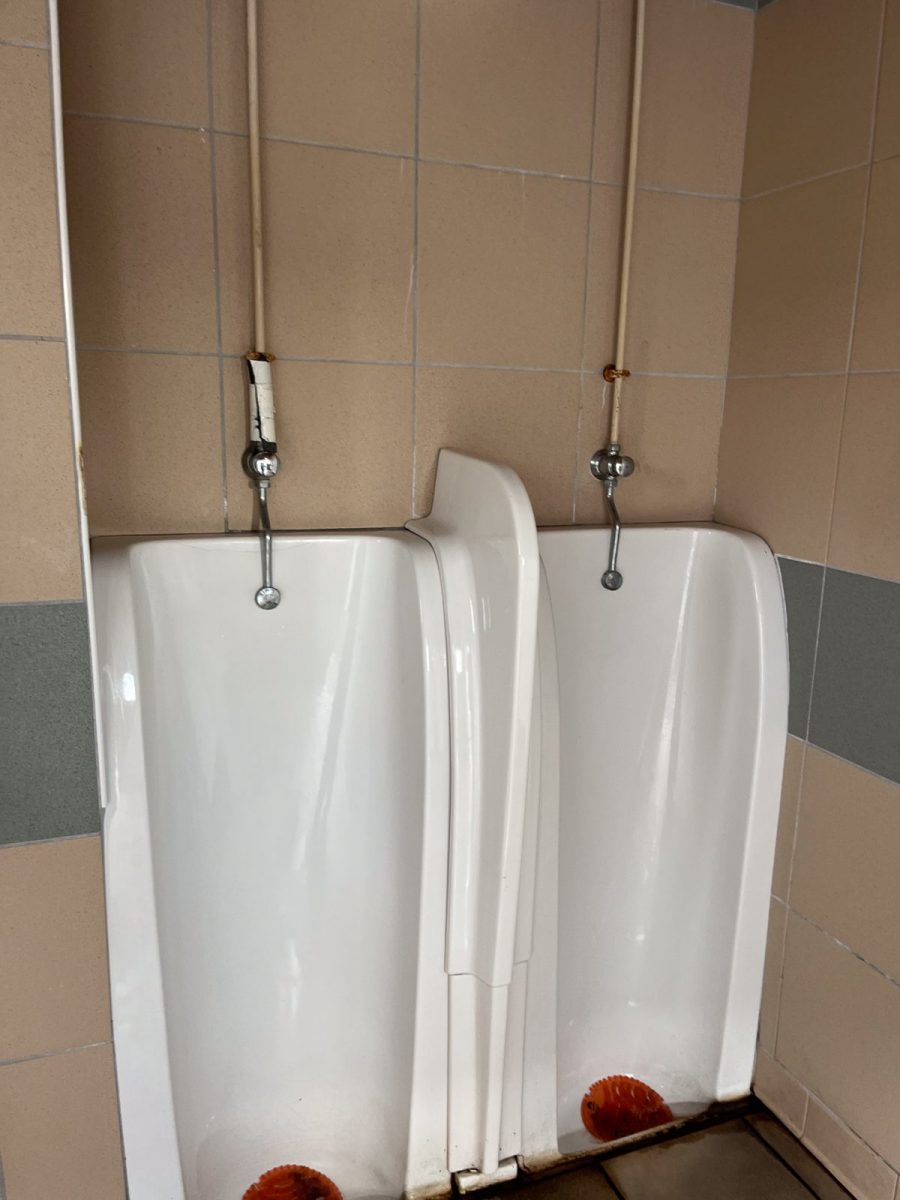 Toilettes publiques -Office de Tourisme – La Faute-sur-Mer (4)