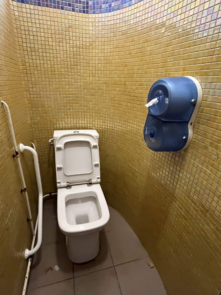 Toilettes-publiques-Dumaine-Luçon