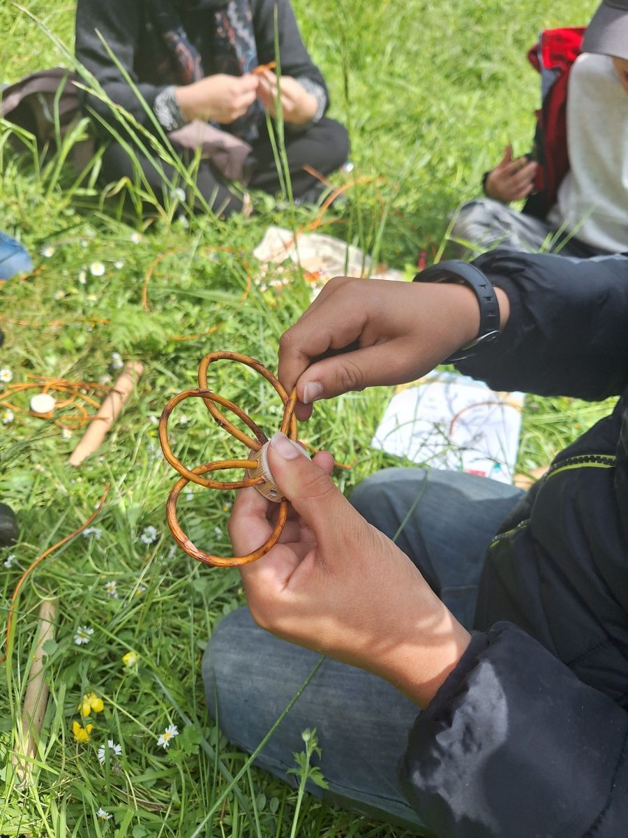Tressage de nature