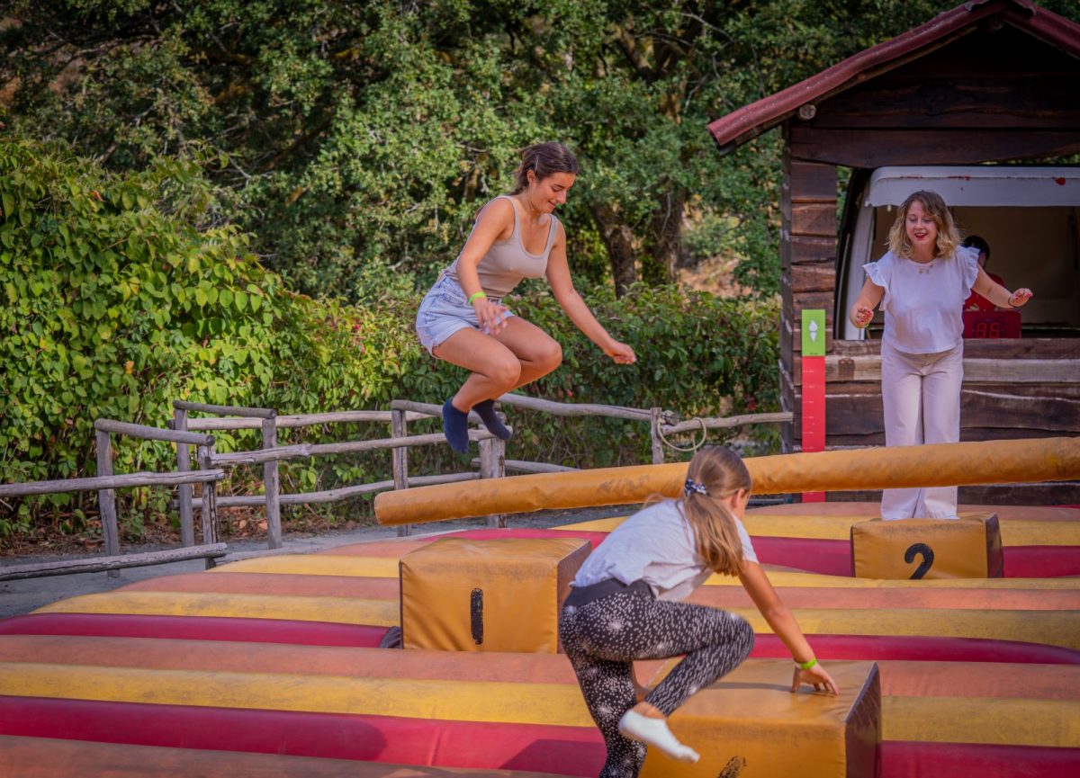 Le rotor-jump