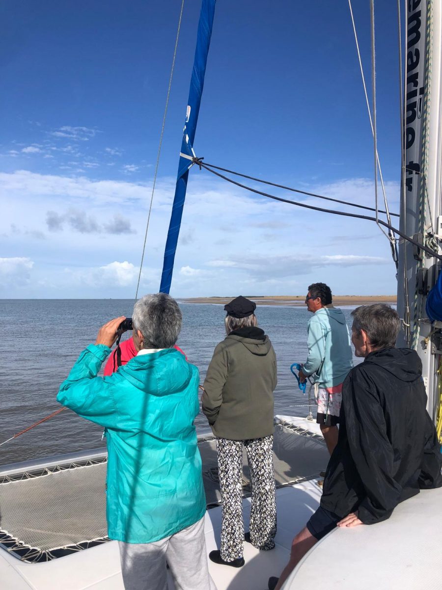 Sortie nature-LPO85-L&rsquo;Aiguillon-la-Presqu&rsquo;île-photo Catamaran