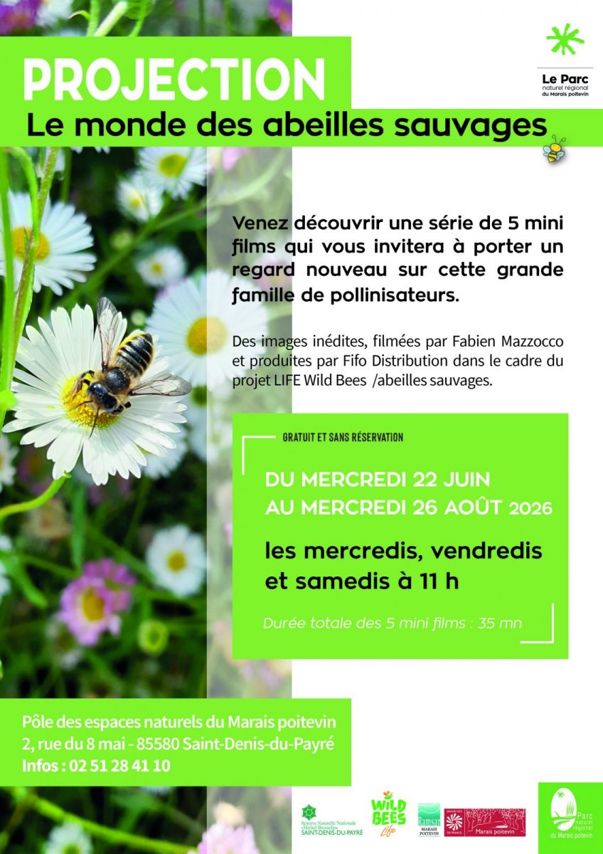 affiche Gratuit films saint denis du payre wild bees