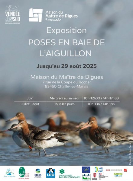 Exposition « Pose en baie de l’Aiguillon »