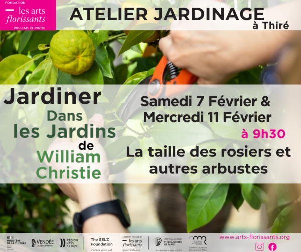 Atelier jardinage, La taille des rosiers et autres arbustes