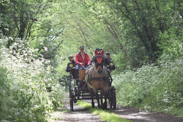 Calèche balade en wagonnette