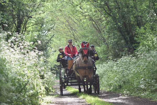 CALÈCHE, BALADE EN WAGONNETTE