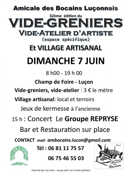 Fête des Bocains, Vide-grenier – Village artisanal