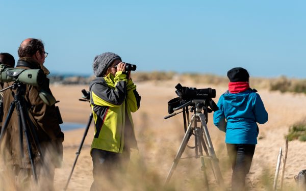 Sortie nature, Point d&rsquo;observation oiseaux migrateurs à La Pointe