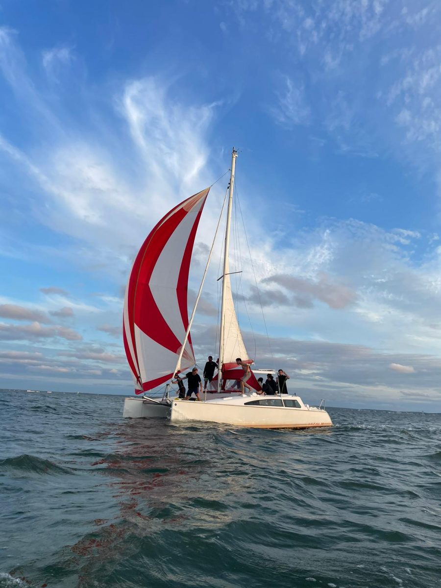 PROMENADE EN MER SUR CATAMARAN A VOILE AU DEPART DE LA TRANCHE SUR MER