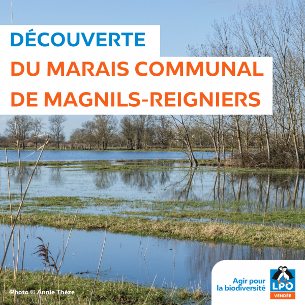 Sortie nature, À la découverte du Marais communal