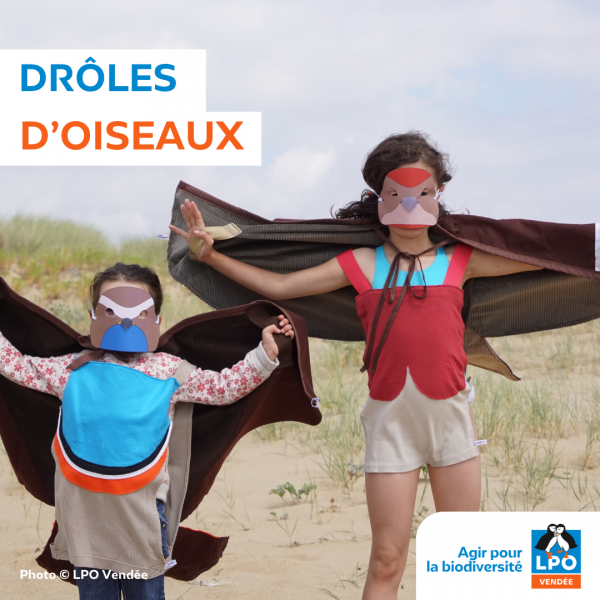 Sortie nature, drôles d’oiseaux