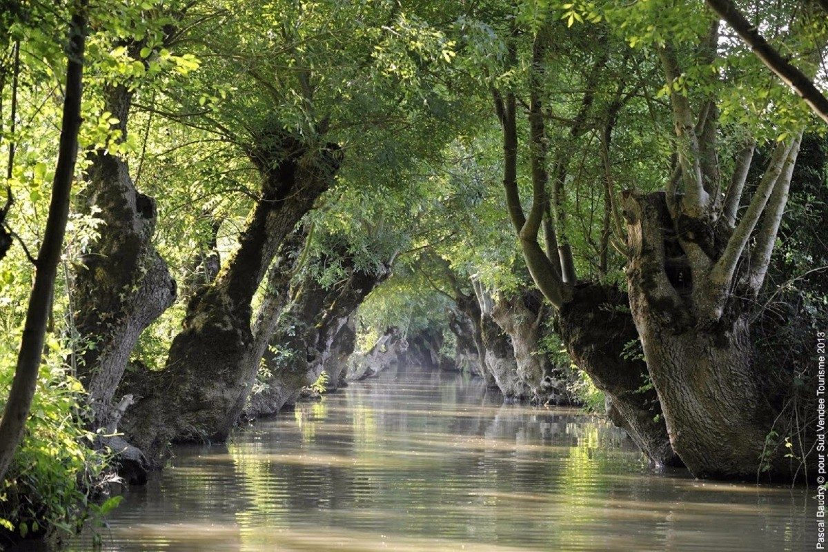 53754 – Le marais Poitevin