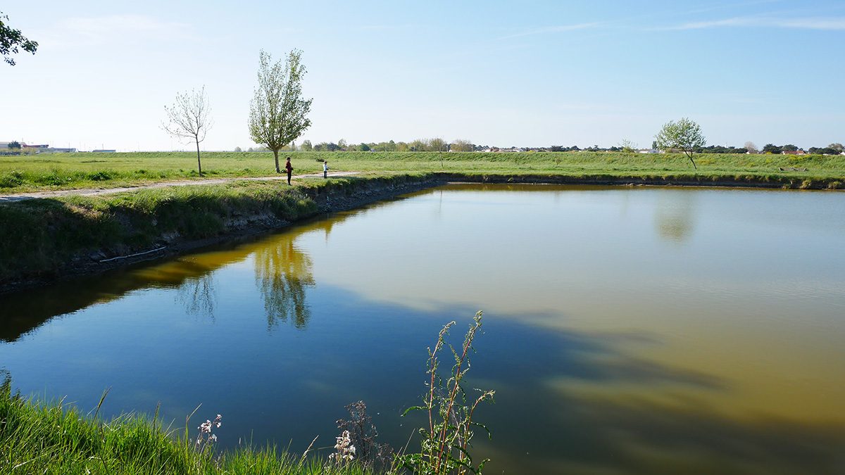 Plan d’eau de pêche