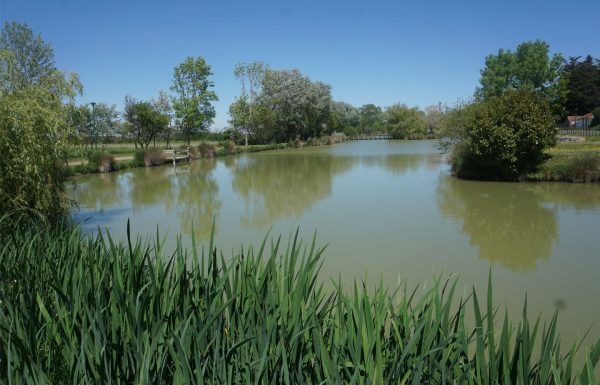Étang de pêche de la Fontaine