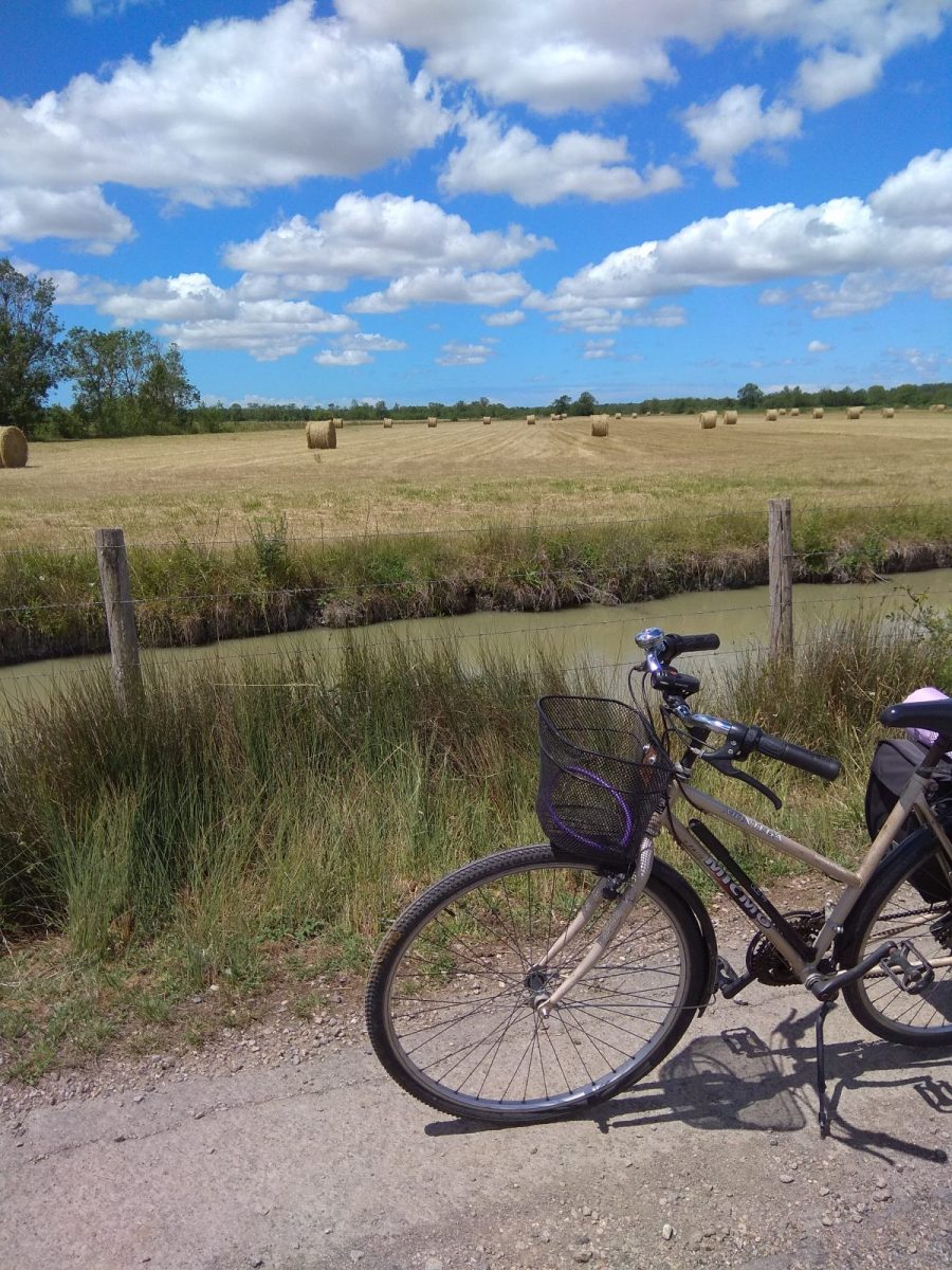 guiffettes découvrir le marais à velo