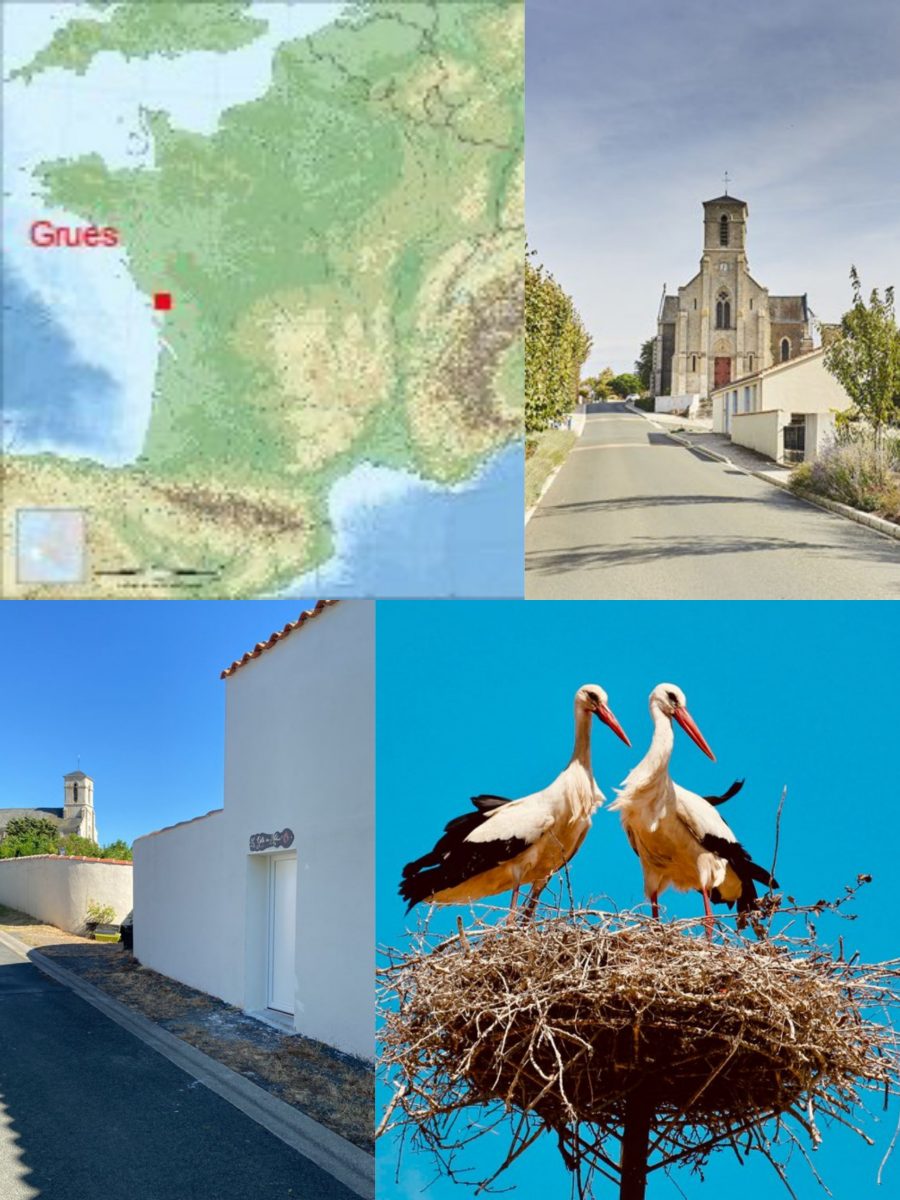 LE GALTA DES MATRUS GRUES Village