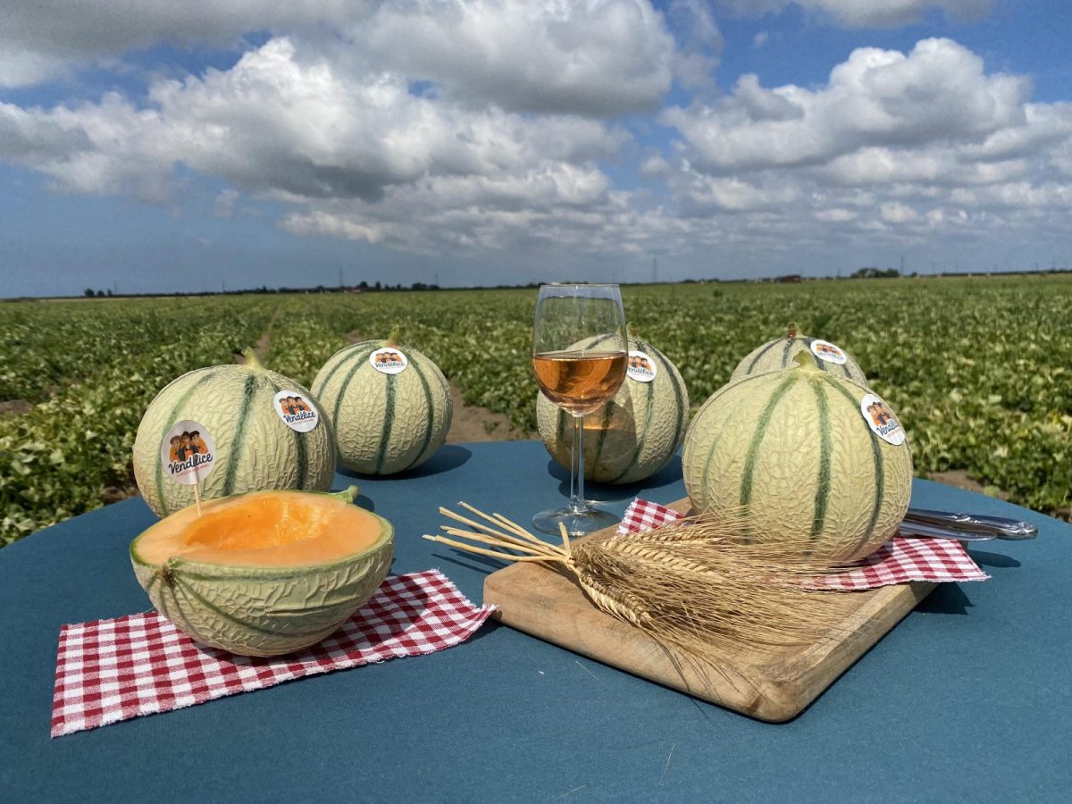La ferme Vendélice