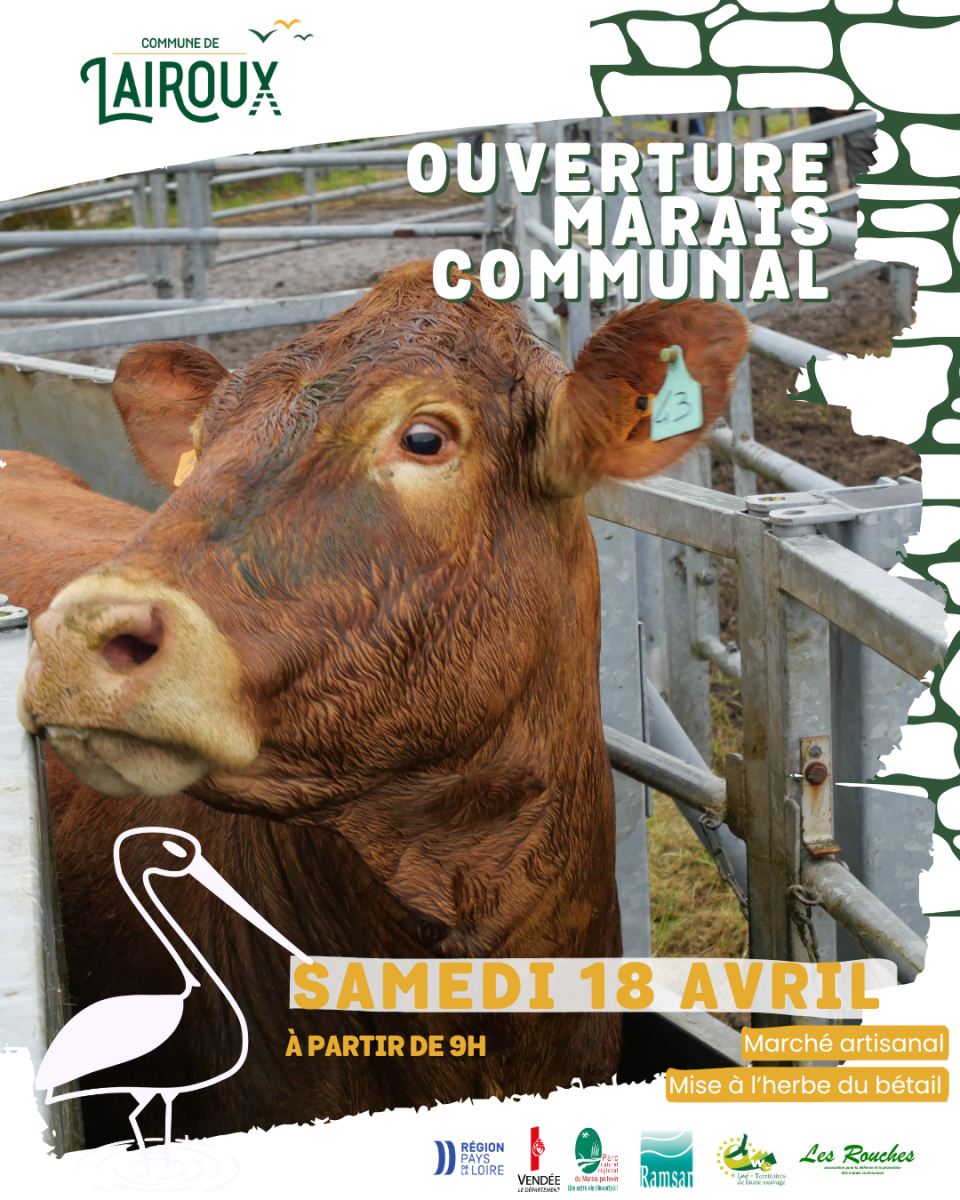 ouverture communal 2025 (Publication Instagram (4:5)) – 1