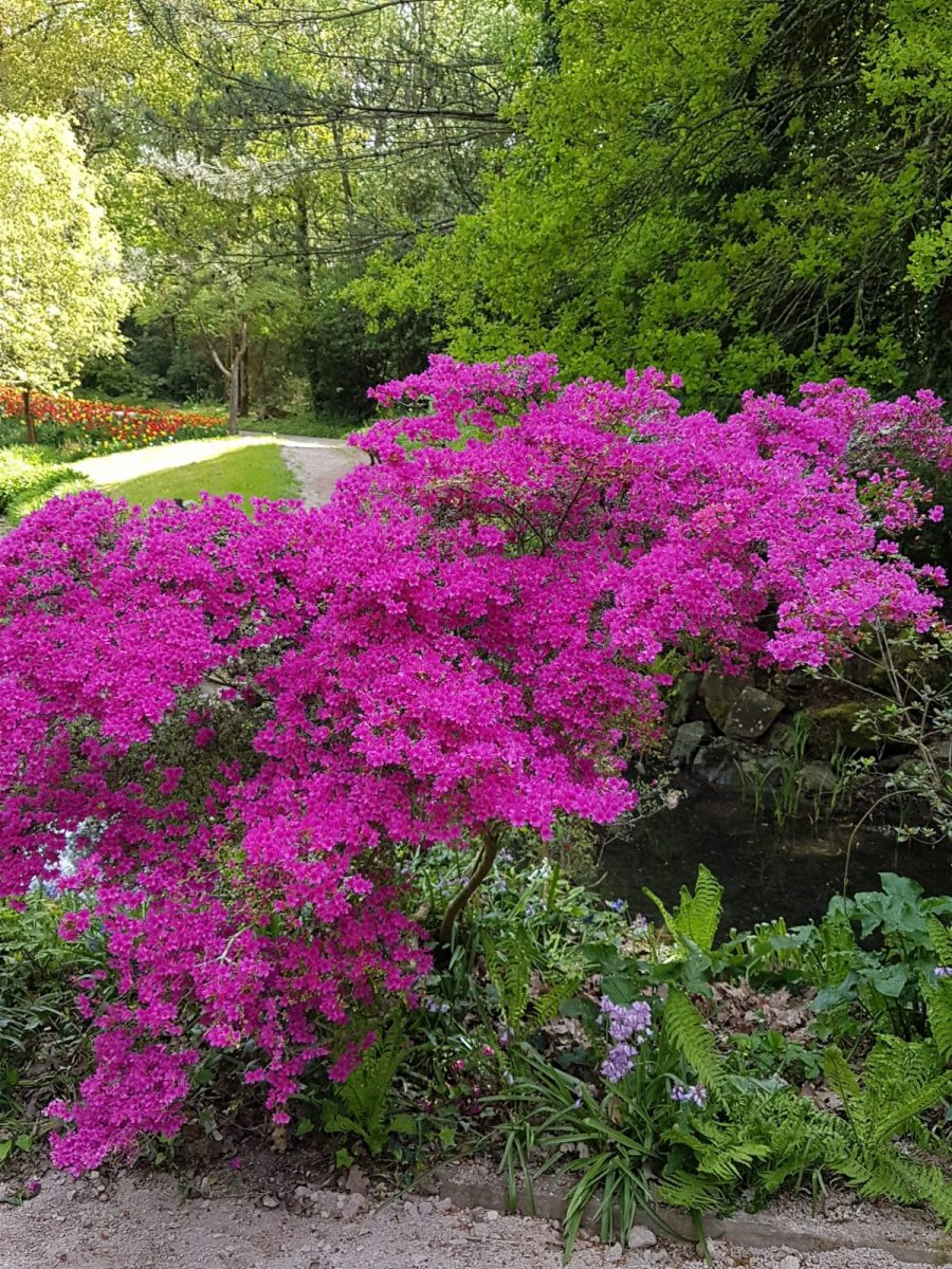parc floral court d’aron