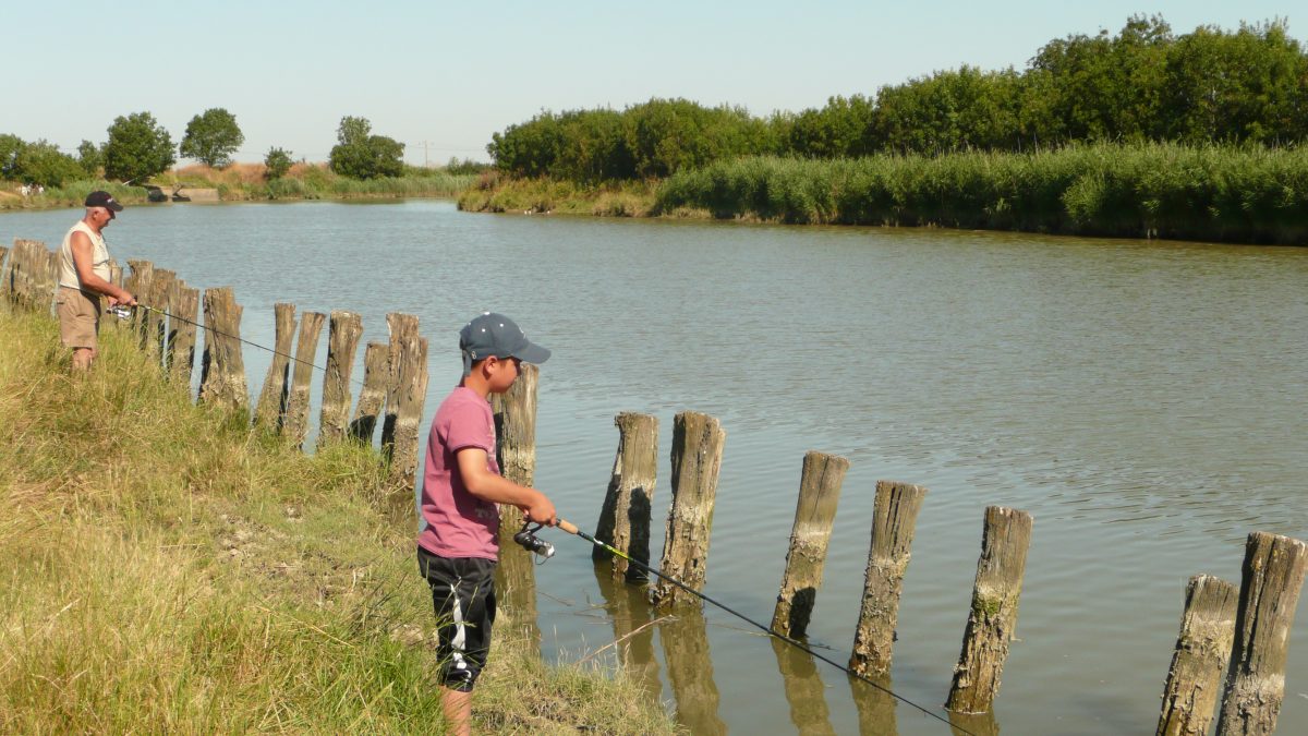 pêche du mulet – Cap Pêche et Nature