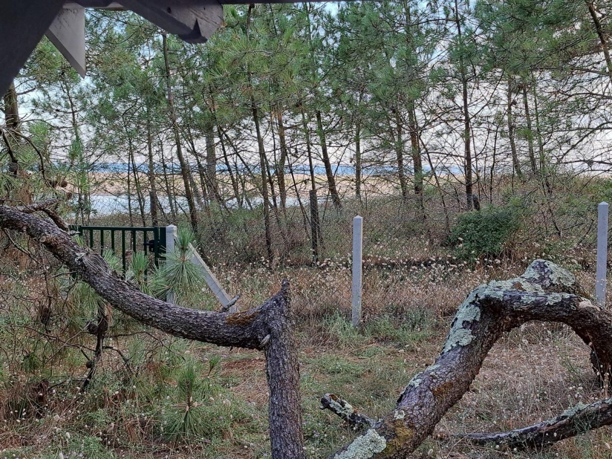 photo%20vue%20sur%20ocean