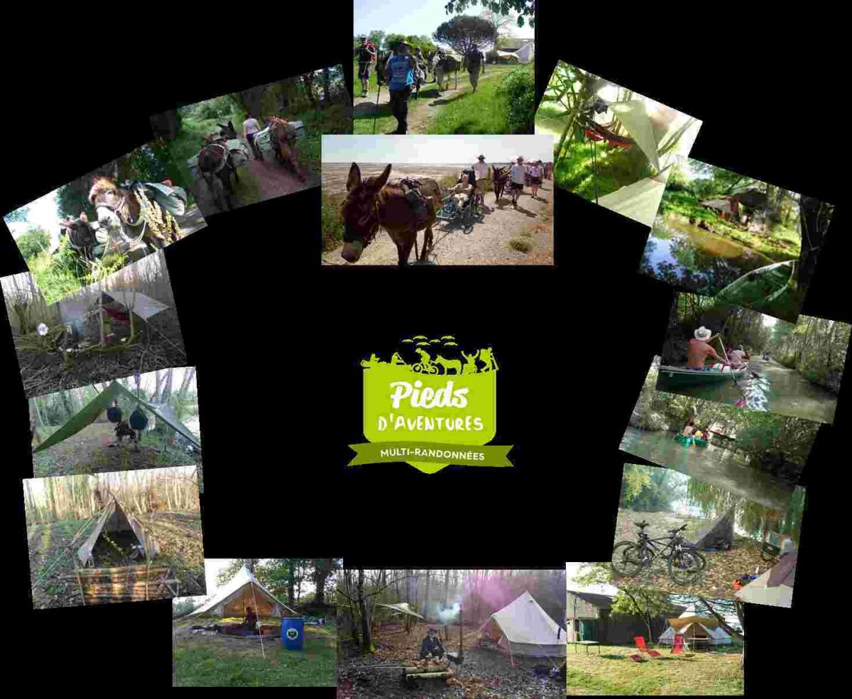 Toutes nos activités