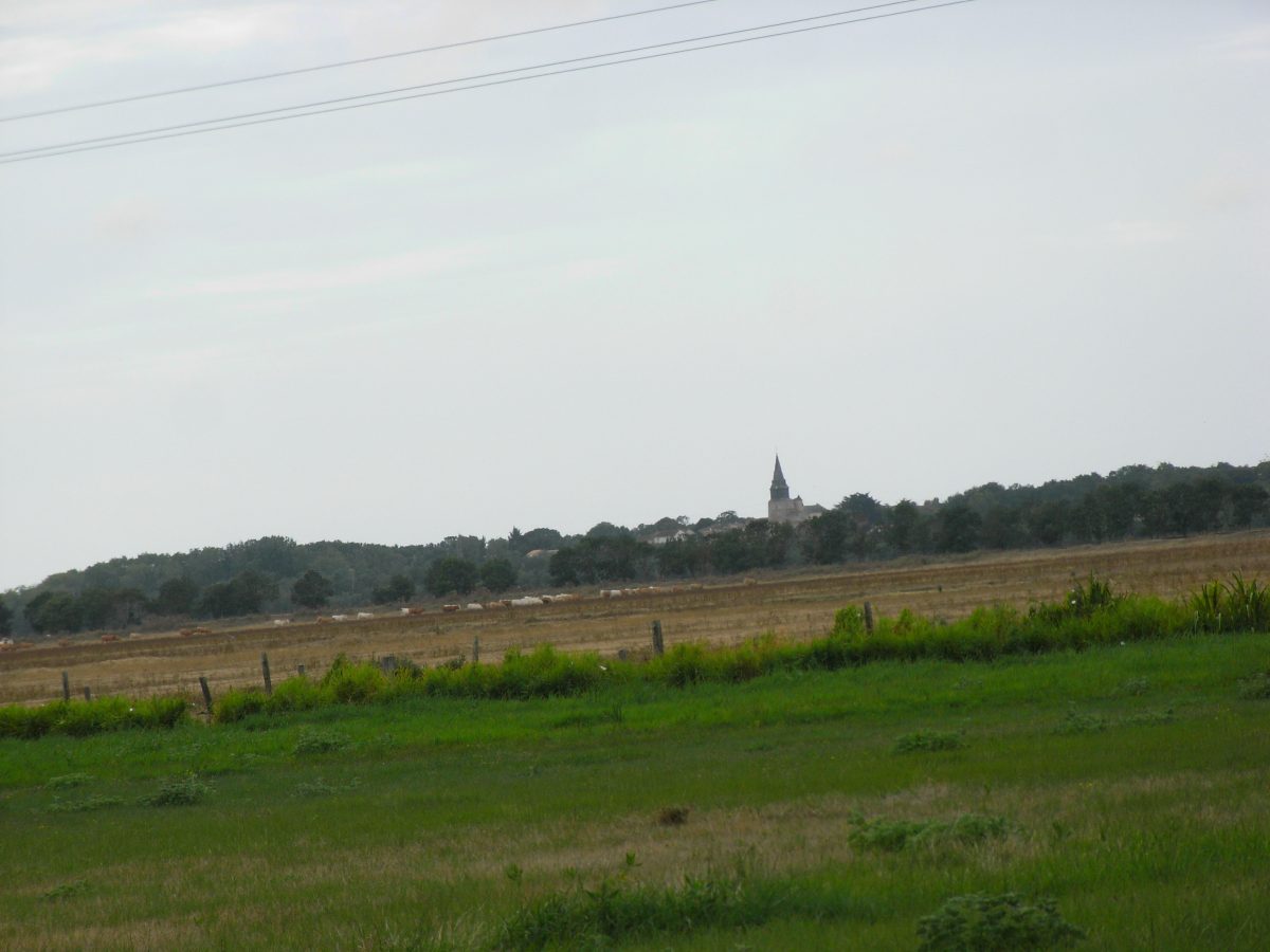 Meublé COUSSOT_Lairoux_Prairie communale