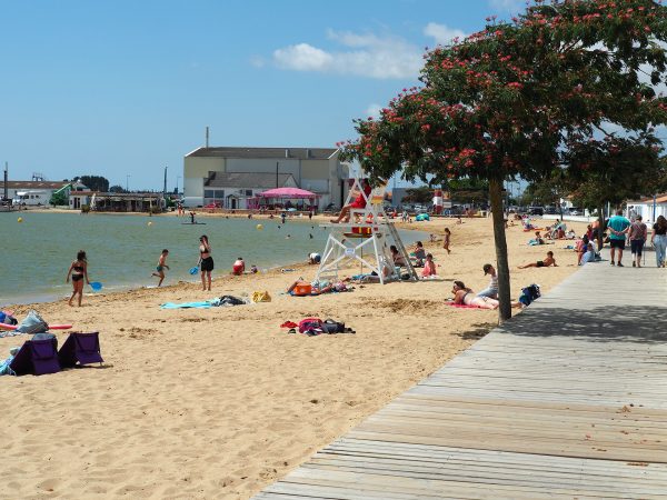 Plan d’eau de baignade