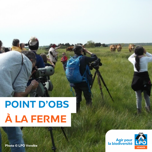 Sortie nature, point d’obs à la ferme de Dixmérie