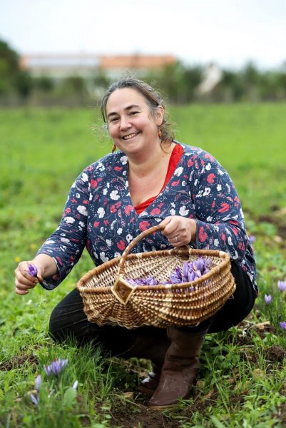 Safran et plantes sauvages, Les Herbes du Coin