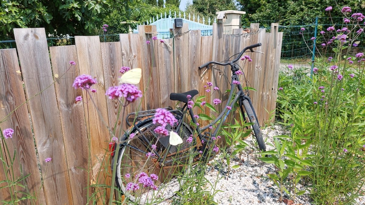Meublé Le Chat Botté_La Chapelle Thémer_Extérieurs (4)