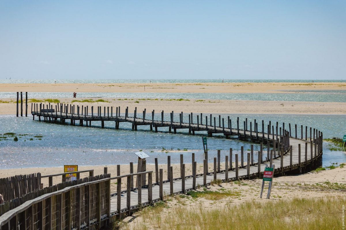 vendee_du_sud_23062025_sbourcier_394