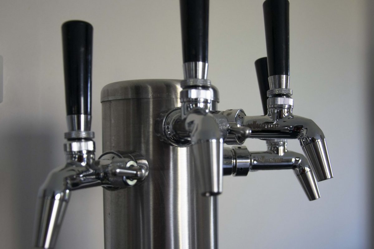 vente directe vrac tireuse Kombucha-Rosnay