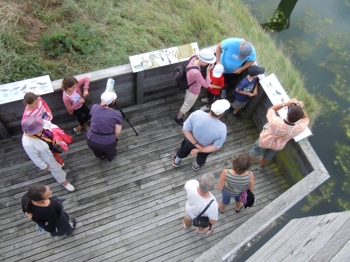 Rade damour-La Faute-sur-Mer-visite-guidee-l’aiguillon-la-presqu’ile